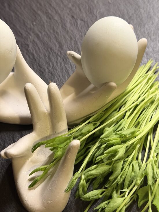 Dekors-olas turētājs